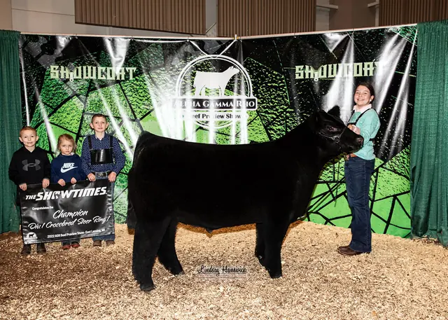 SM Show Steers winner, 2022