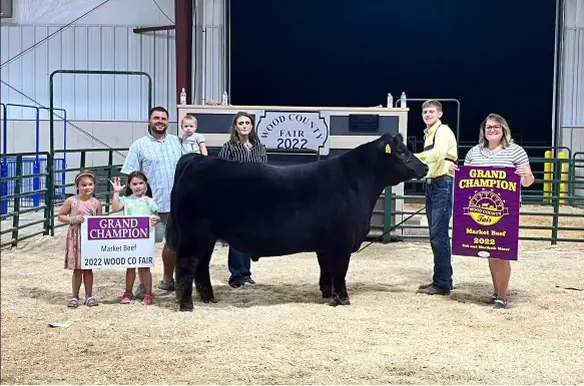 SM Show Steers winner, 2022