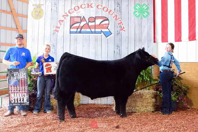 SM Show Steers winner, 2022