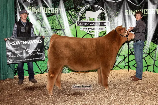SM Show Steers winner, 2022
