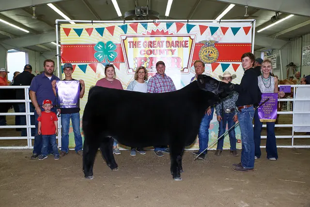 SM Show Steers winner, 2022