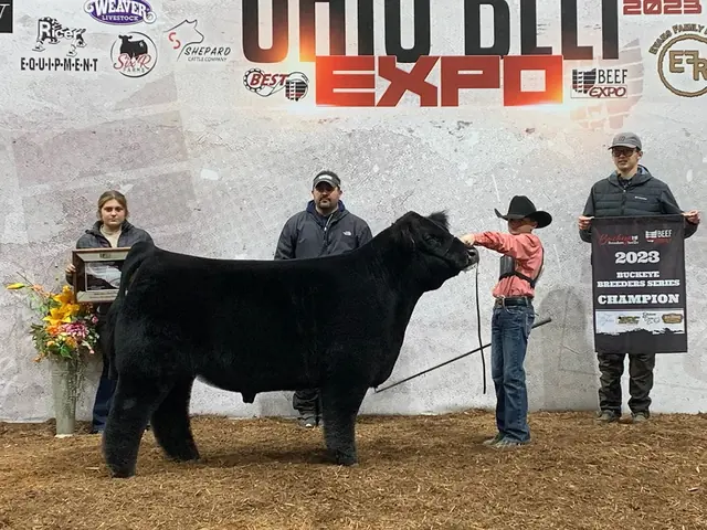 SM Show Steers winner, 2023
