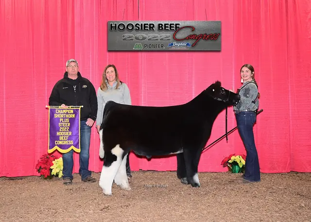 SM Show Steers winner, 2023