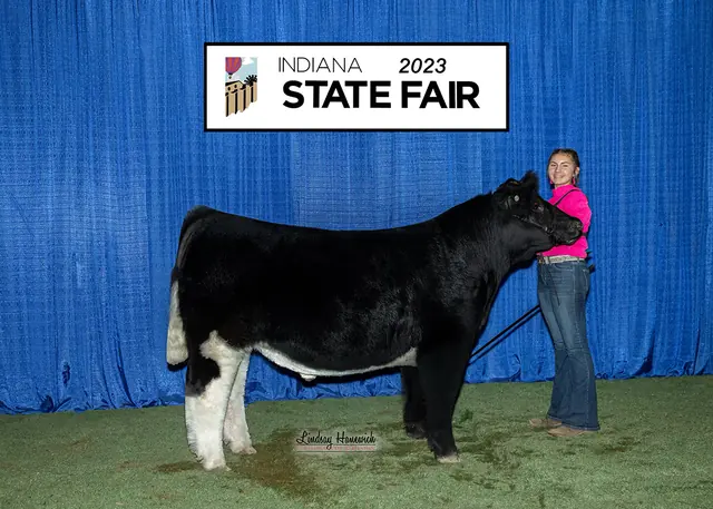 SM Show Steers winner, 2023