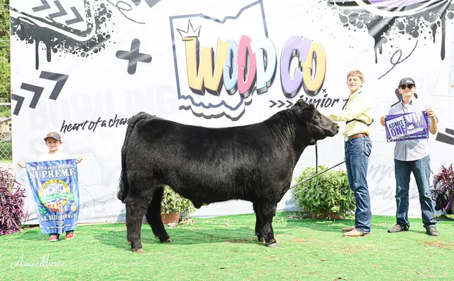 SM Show Steers winner, 2023