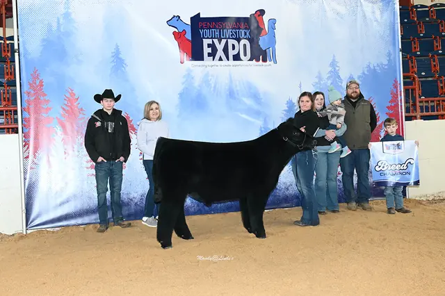 SM Show Steers winner, 2023