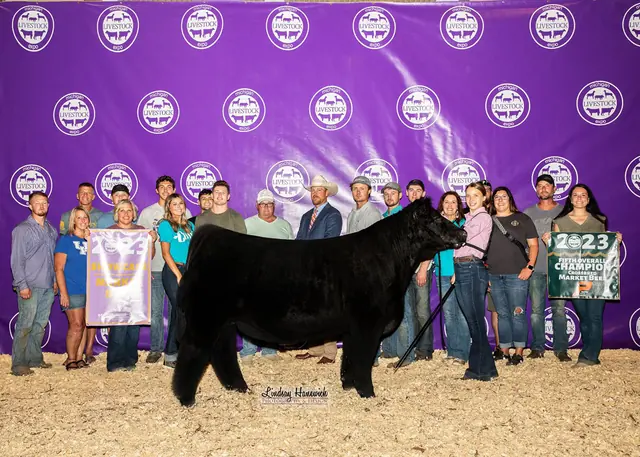 SM Show Steers winner, 2023