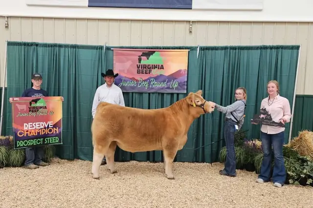 SM Show Steers winner, 2023