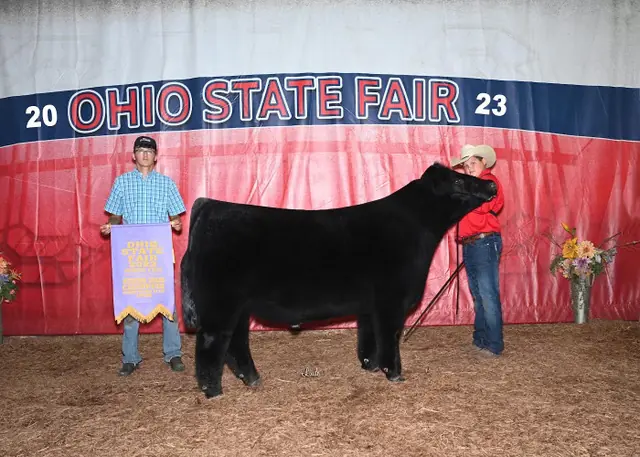 SM Show Steers winner, 2023