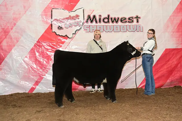 SM Show Steers winner, 2023