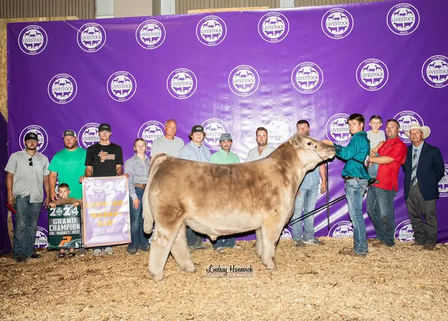 SM Show Steers winner, 2024