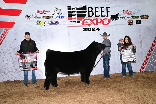 SM Show Steers winner, 2024