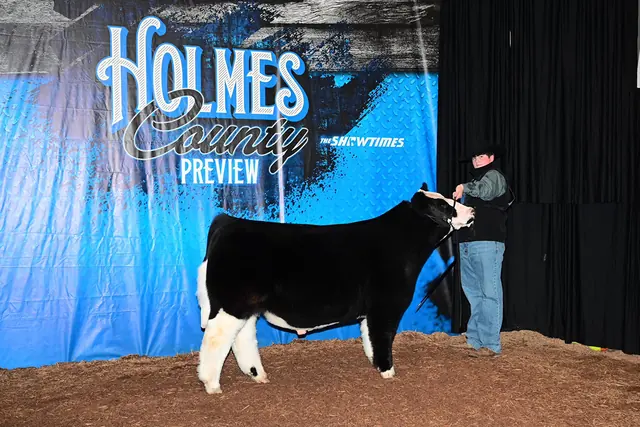 SM Show Steers winner, 2024