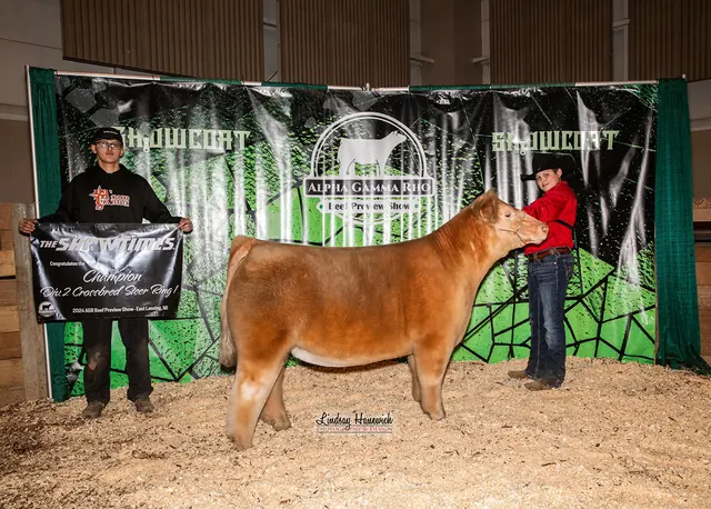 SM Show Steers winner, 2024