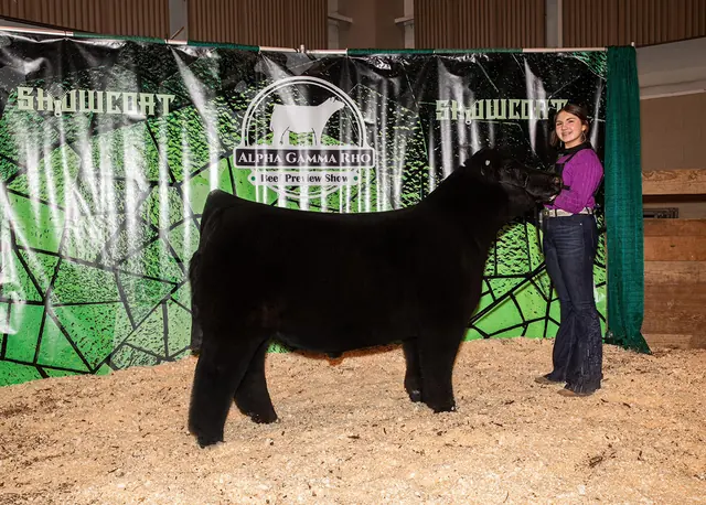 SM Show Steers winner, 2024