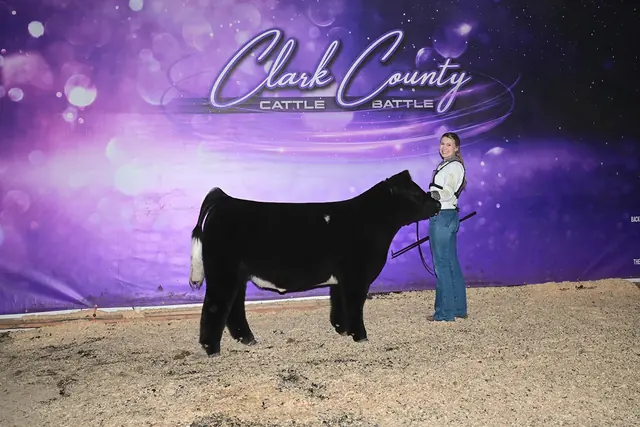 SM Show Steers winner, 2024