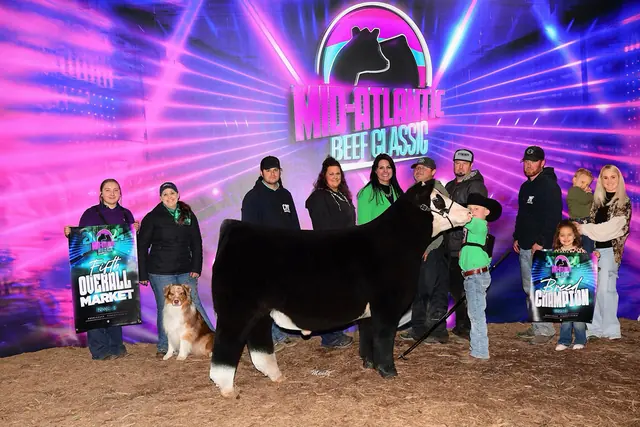SM Show Steers winner, 2024