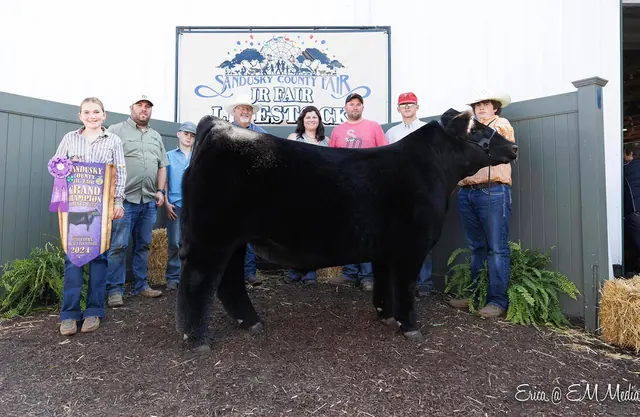 SM Show Steers winner, 2024