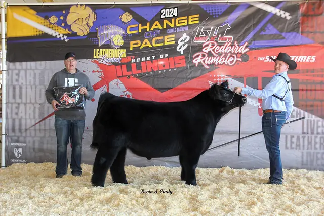 SM Show Steers winner, 2024
